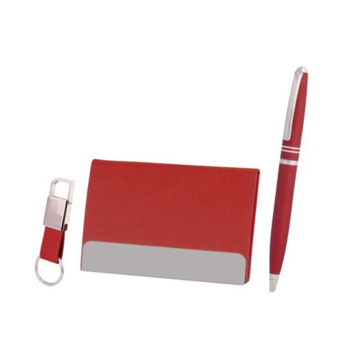 small set of pen ,card holder & keychain