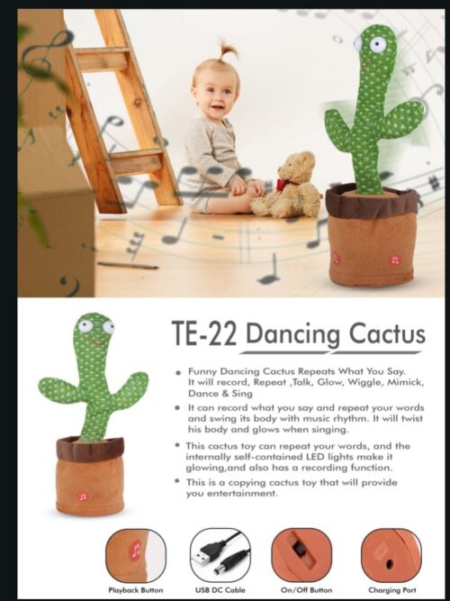 Dancing Cactus