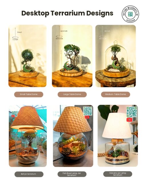 Desktop terrariums Designs