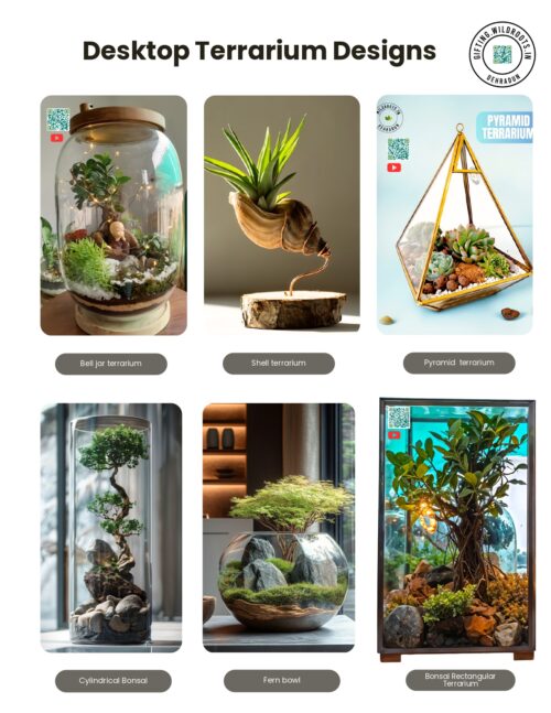 Desktop terrariums Designs