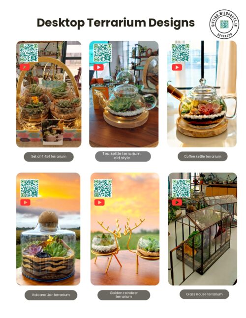 Desktop terrariums Designs