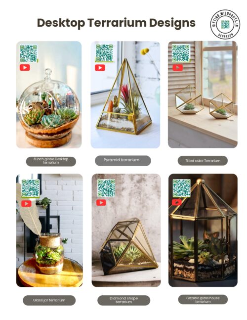 Desktop terrariums Designs