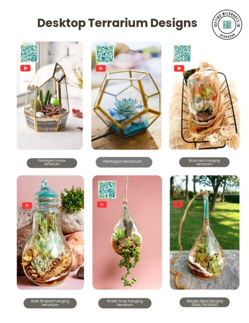 Desktop terrariums Designs