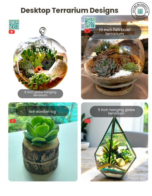 Desktop terrariums Designs