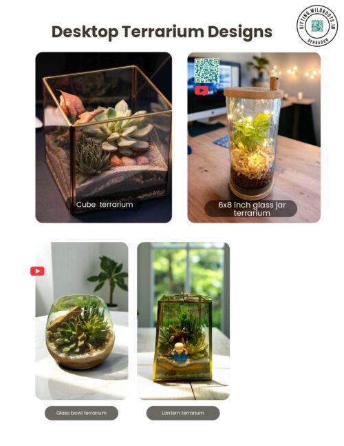 Desktop terrariums Designs